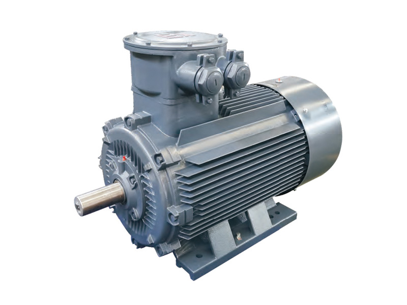 YFBBP3系列粉塵防爆型變頻調速三相異步電動機